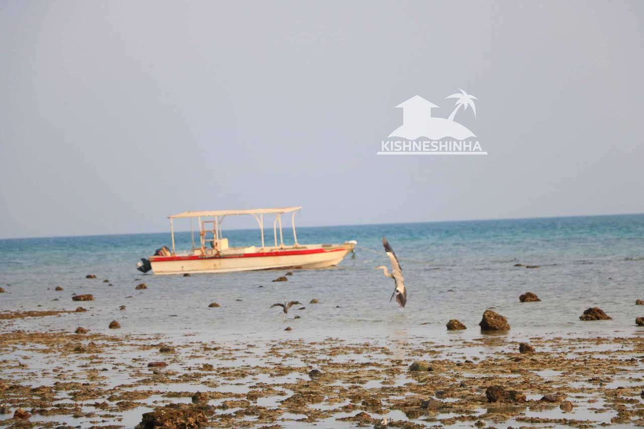 راهنمای خرید، فروش، رهن و اجاره خانه در کیش + آپدیت 1404 2 منطقه ی زیبای کیش